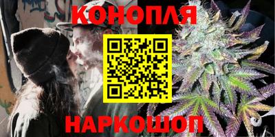 МДПВ Ачхой-Мартан