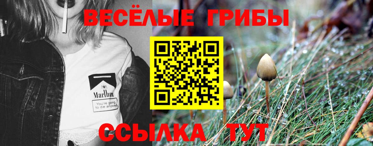 Псилоцибиновые грибы мухоморы Димитровград